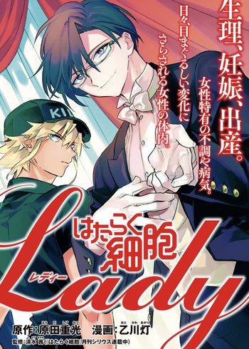 Hataraku Saibou LADY