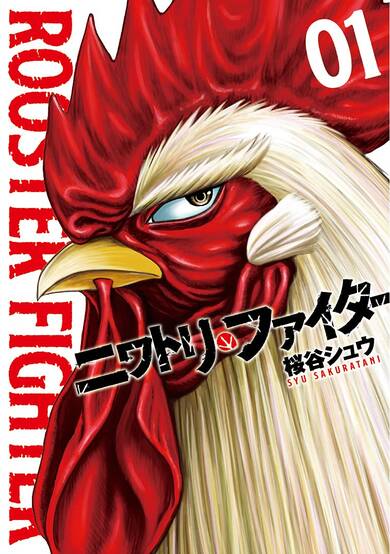 Rooster Fighter