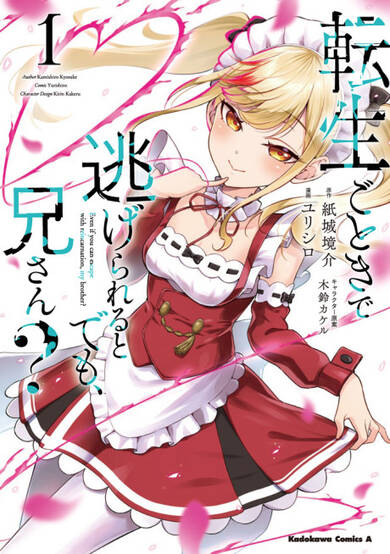 Did You Think You Could Run After Reincarnating, Nii-san?