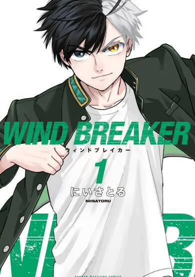 Wind Breaker