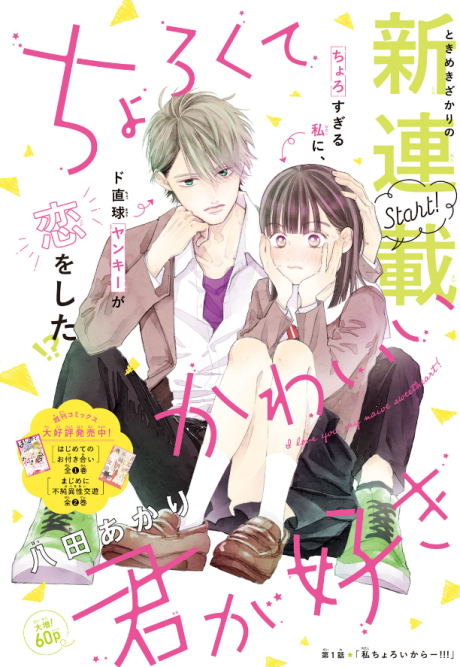 Chorokute Kawaii Kimi ga Suki