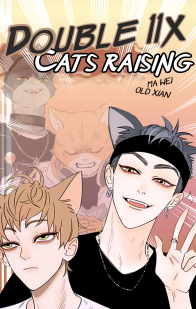 Double 11 •Cats Raising