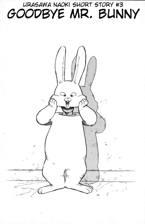 Goodbye Mr. Bunny