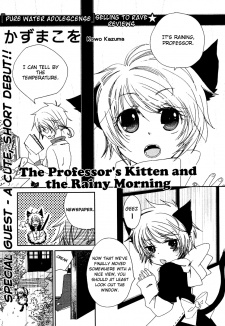 The Professor's Kitten and the Rainy Morning