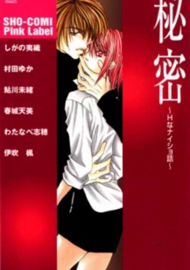 Himitsu - H na Naishobanashi image